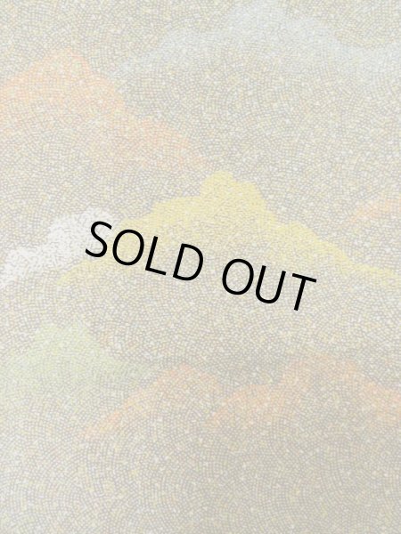 画像5: M0307P  小紋 女性用着物  シルク（正絹）   茶色, 小さな点々 【中古】 【USED】 【リサイクル】 ★★☆☆☆ (5)