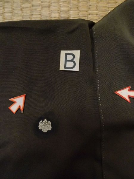 画像19: M0328A  留袖 女性用着物 比翼仕立て シルク(正絹)   黒, 松/松葉 【中古】 【USED】 【リサイクル】 ★★☆☆☆ (19)