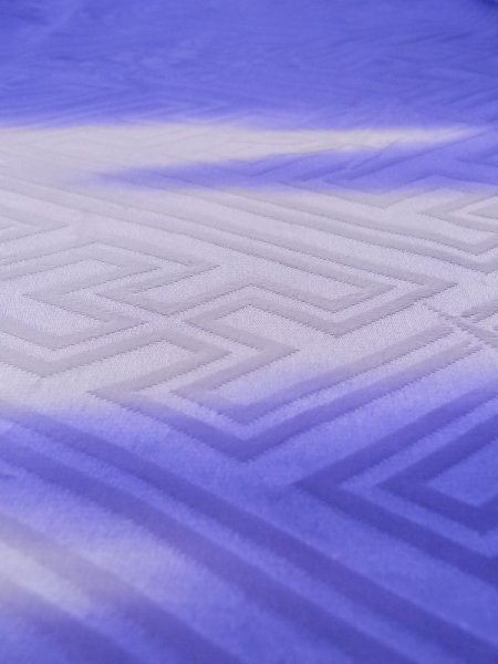 画像18: M0328M  訪問着 女性用着物  シルク(正絹) 淡い 紫み 青, ぼたん 淡い【中古】 【USED】 【リサイクル】 ★★☆☆☆ (18)