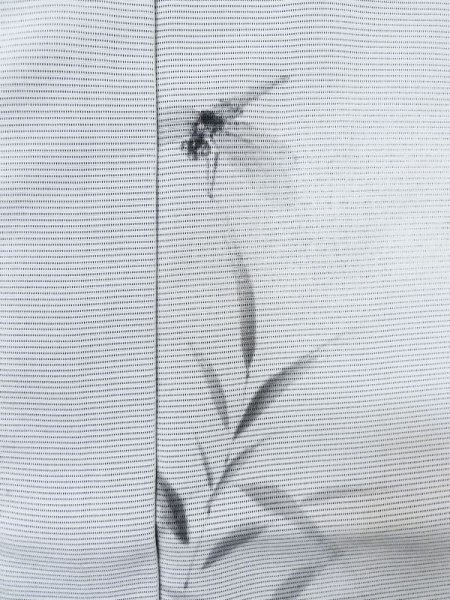 画像19: M0328T  夏物 女性用着物 表:紗、裏:絽、紗袷、とんぼ柄 シルク(正絹)   紺, ききょう 【中古】 【USED】 【リサイクル】 ★★☆☆☆ (19)