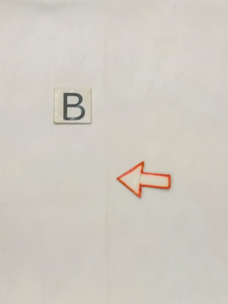 画像9: M0523Z 名古屋帯 女性用着物 シルク(正絹) 淡い 薄い 緑色 ぼかし 【中古】 【USED】 【リサイクル】 ★★☆☆☆ (9)