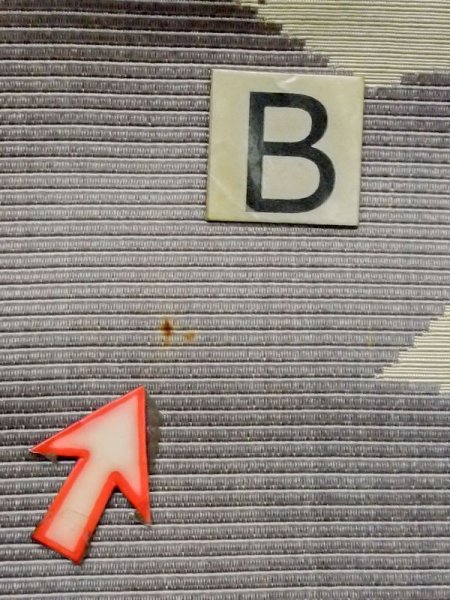 画像10: M0525P 名古屋帯 女性用着物 化繊 淡い 灰色がかった 青 ぼたん 【中古】 【USED】 【リサイクル】 ★★☆☆☆ (10)