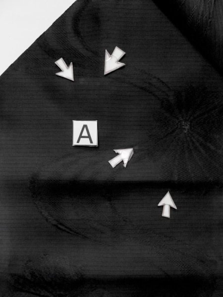 画像14: M0525T 名古屋帯 女性用着物 シルク(正絹)   黒 菊 【中古】 【USED】 【リサイクル】 ★★★☆☆ (14)