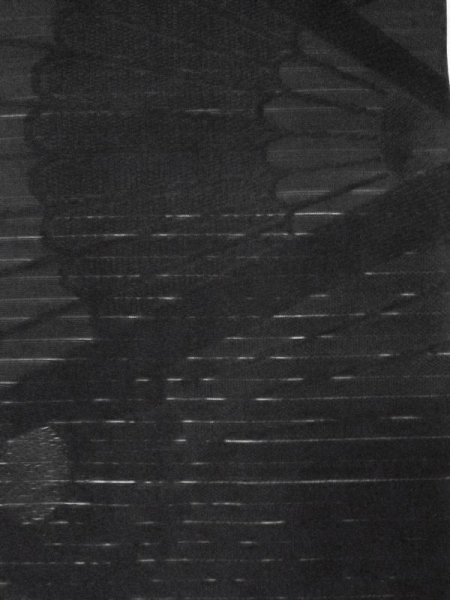 画像6: M0525W 名古屋帯 女性用着物 シルク(正絹)   黒 菊 【中古】 【USED】 【リサイクル】 ★★★★☆ (6)