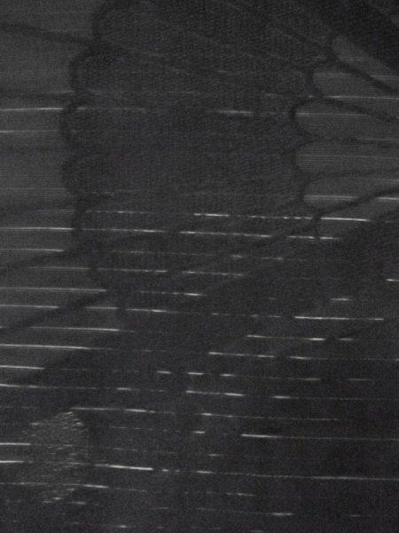 画像7: M0525W 名古屋帯 女性用着物 シルク(正絹)   黒 菊 【中古】 【USED】 【リサイクル】 ★★★★☆ (7)