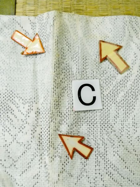 画像16: M0808A  女性用 単衣  シルク(正絹)   白, 葉 【中古】 【USED】 【リサイクル】 ★★☆☆☆ (16)