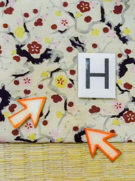 画像20: M0907D  女性用 羽織  シルク(正絹) 淡い 薄い 緑色, 梅 【中古】 【USED】 【リサイクル】 ★★☆☆☆ (20)