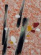 画像5: M0907F  女性用 羽織  シルク（正絹）   珊瑚色, 木 【中古】 【USED】 【リサイクル】 ★☆☆☆☆ (5)