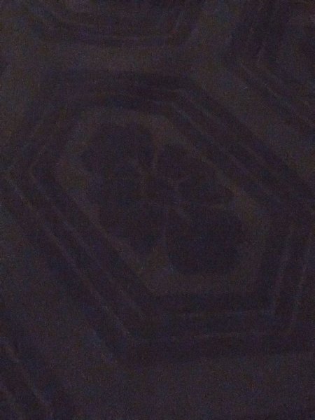 画像10: M0907J  女性用 羽織  シルク(正絹)   黒, 松/松葉 【中古】 【USED】 【リサイクル】 ★★☆☆☆ (10)