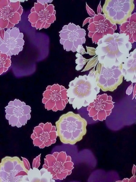 画像3: M0914F  女性用 浴衣（海外製）  綿   黒, 桜 【中古】 【USED】 【リサイクル】 ★★☆☆☆ (3)