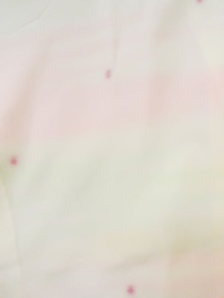 画像3: M0922G  女性用 襦袢  シルク(正絹) 淡い 薄い 白, 小さな点々 【中古】 【USED】 【リサイクル】 ★★☆☆☆ (3)