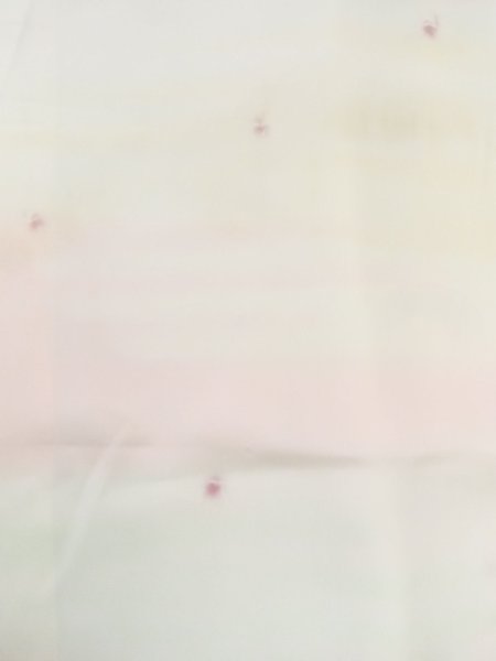 画像4: M0922G  女性用 襦袢  シルク(正絹) 淡い 薄い 白, 小さな点々 【中古】 【USED】 【リサイクル】 ★★☆☆☆ (4)