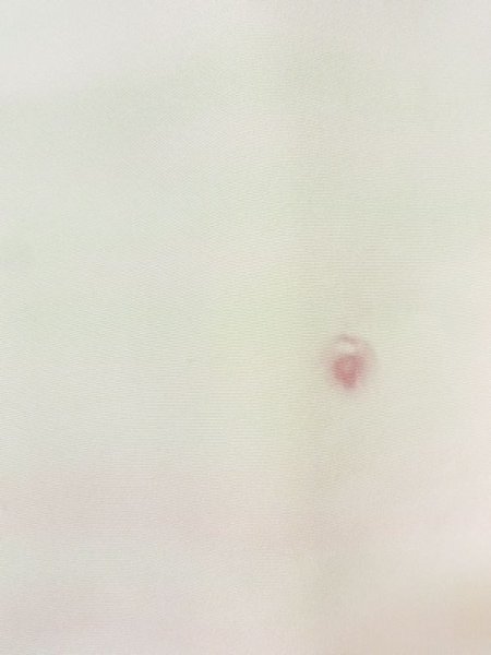 画像7: M0922G  女性用 襦袢  シルク(正絹) 淡い 薄い 白, 小さな点々 【中古】 【USED】 【リサイクル】 ★★☆☆☆ (7)