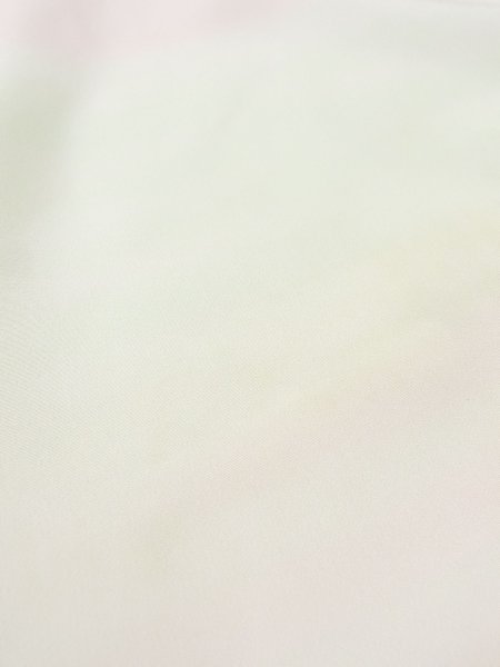 画像8: M0922G  女性用 襦袢  シルク(正絹) 淡い 薄い 白, 小さな点々 【中古】 【USED】 【リサイクル】 ★★☆☆☆ (8)