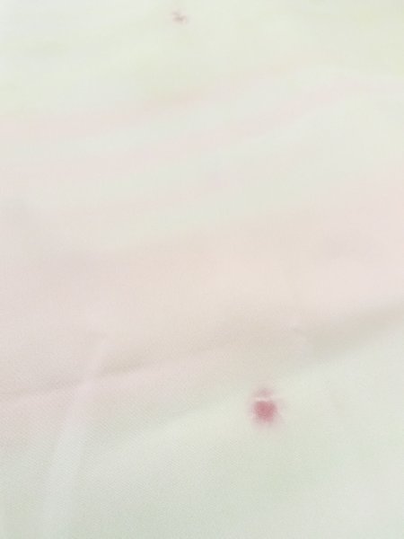 画像10: M0922G  女性用 襦袢  シルク(正絹) 淡い 薄い 白, 小さな点々 【中古】 【USED】 【リサイクル】 ★★☆☆☆ (10)