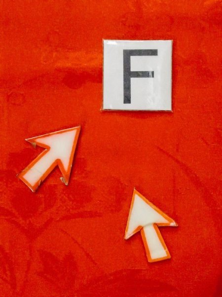 画像21: M0922S  女性用 襦袢 地紋:もみじ、鶴柄 化繊   赤色,  【中古】 【USED】 【リサイクル】 ★★☆☆☆ (21)