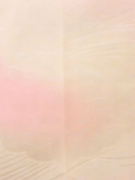 画像6: M0923A  女性用 襦袢  化繊 淡い 薄い 桃色, 波 【中古】 【USED】 【リサイクル】 ★★☆☆☆ (6)