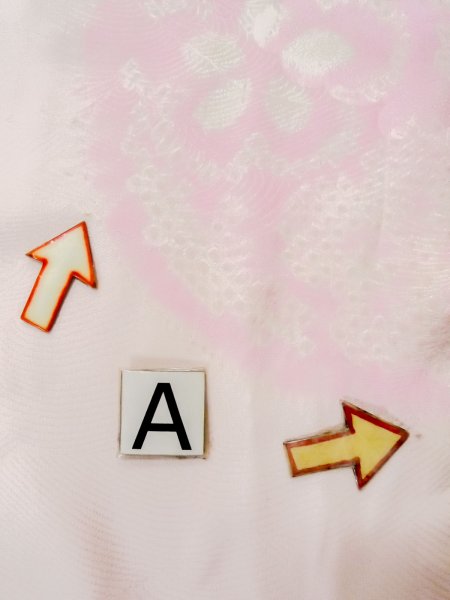 画像14: M1003B  女性用 襦袢  シルク(正絹)  淡い 珊瑚色, 花 【中古】 【USED】 【リサイクル】 ★★☆☆☆ (14)