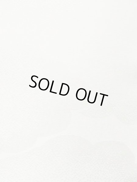 画像6: M1003Z  女性用 襦袢  化繊   白,  【中古】 【USED】 【リサイクル】 ★★☆☆☆ (6)