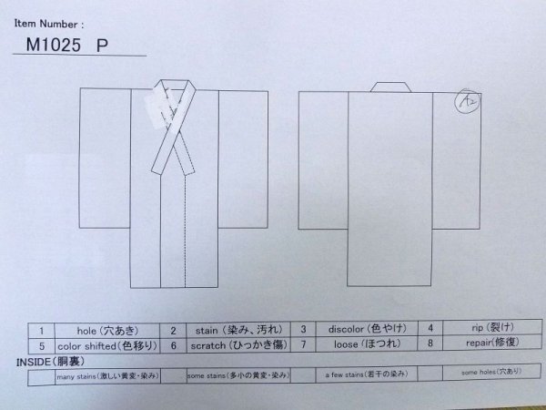 画像11: M1025P  女性用 塩沢紬 使用感あり シルク(正絹)   アイボリー, 葉 【中古】 【USED】 【リサイクル】 ★★☆☆☆ (11)
