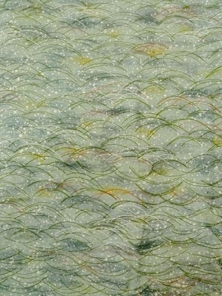 画像3: M1121K  女性用 羽織  シルク(正絹)  淡い 緑色, 芝草 【中古】 【USED】 【リサイクル】 ★★☆☆☆ (3)