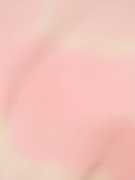 画像5: M1215B  女性用 襦袢  シルク(正絹)  淡い 桃色, 雲 【中古】 【USED】 【リサイクル】 ★★★☆☆ (5)