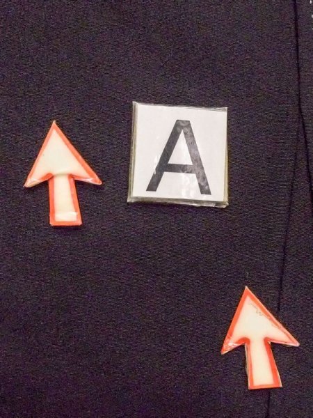 画像19: M1215P  女性用 留袖 タッセル柄 シルク(正絹)   黒, 菊 【中古】 【USED】 【リサイクル】 ★★☆☆☆ (19)