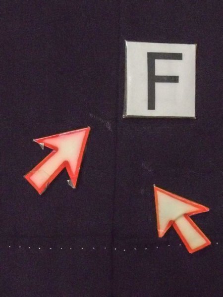 画像21: M1215T  女性用 留袖  シルク(正絹)   黒, 菊 【中古】 【USED】 【リサイクル】 ★★☆☆☆ (21)