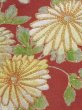 画像7: M1215V  女性用 留袖  シルク（正絹）   黒, 菊 【中古】 【USED】 【リサイクル】 ★★☆☆☆ (7)