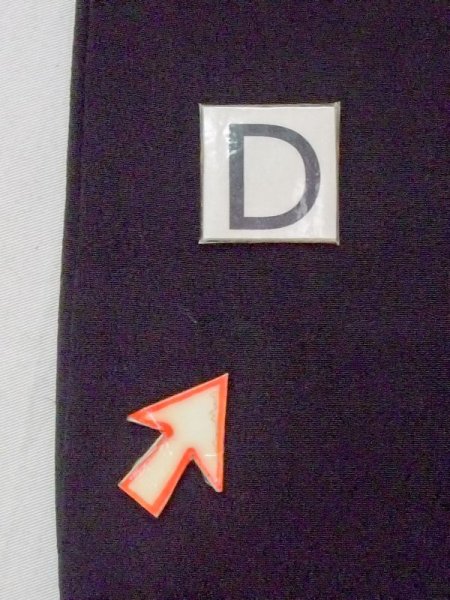 画像20: M1215V  女性用 留袖  シルク(正絹)   黒, 菊 【中古】 【USED】 【リサイクル】 ★★☆☆☆ (20)