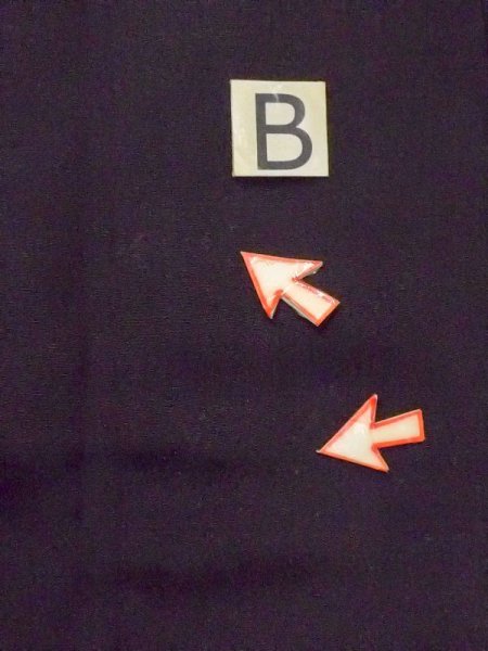 画像17: M1215X  女性用 留袖 全体:経年劣化、使用感あり。 シルク(正絹)   黒, 菊 【中古】 【USED】 【リサイクル】 ★★☆☆☆ (17)