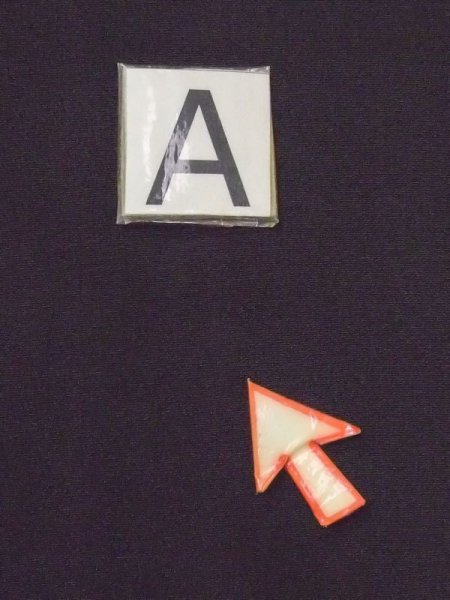 画像18: M1216A  女性用 留袖  シルク(正絹)   黒, 菊 【中古】 【USED】 【リサイクル】 ★★☆☆☆ (18)