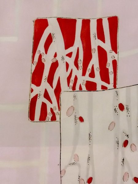 画像11: N0209D  女性用 羽織  シルク(正絹)  深い えんじ, 桐 【中古】 【USED】 【リサイクル】 ★☆☆☆☆ (11)