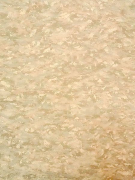 画像3: N0209K  女性用 羽織  シルク(正絹)  淡い 茶色, 抽象的模様 【中古】 【USED】 【リサイクル】 ★★☆☆☆ (3)