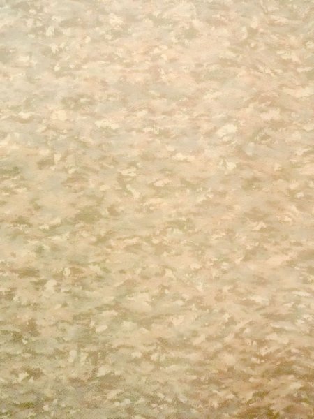 画像4: N0209K  女性用 羽織  シルク(正絹)  淡い 茶色, 抽象的模様 【中古】 【USED】 【リサイクル】 ★★☆☆☆ (4)