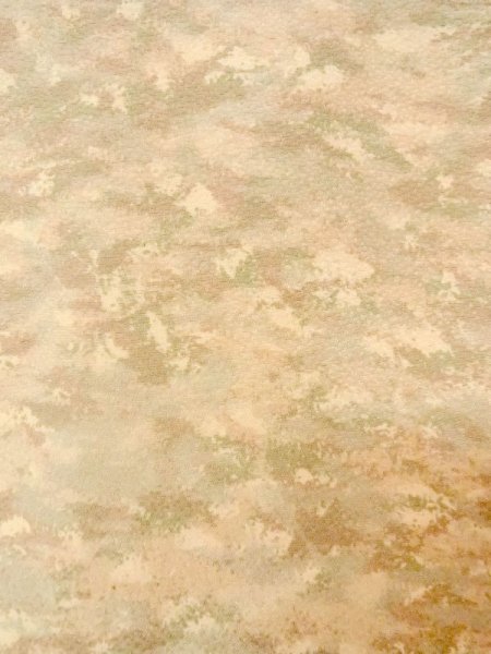 画像5: N0209K  女性用 羽織  シルク(正絹)  淡い 茶色, 抽象的模様 【中古】 【USED】 【リサイクル】 ★★☆☆☆ (5)