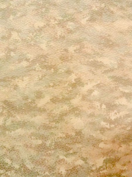 画像7: N0209K  女性用 羽織  シルク(正絹)  淡い 茶色, 抽象的模様 【中古】 【USED】 【リサイクル】 ★★☆☆☆ (7)