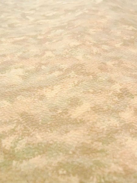 画像10: N0209K  女性用 羽織  シルク(正絹)  淡い 茶色, 抽象的模様 【中古】 【USED】 【リサイクル】 ★★☆☆☆ (10)