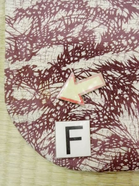 画像19: N0210A  女性用 羽織  シルク(正絹)   オフ ホワイト, 葉 【中古】 【USED】 【リサイクル】 ★★☆☆☆ (19)