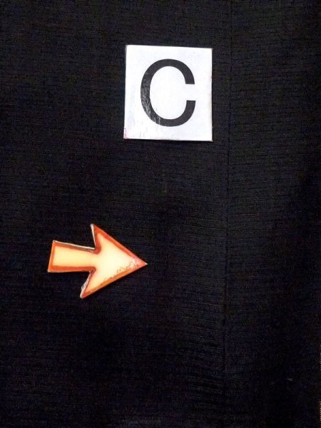 画像16: N0321F  女性用 道行  シルク(正絹)   黒, 松/松葉 【中古】 【USED】 【リサイクル】 ★★☆☆☆ (16)