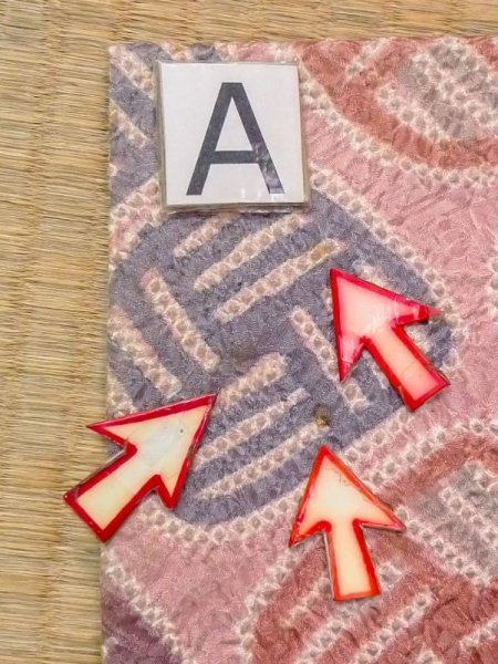 画像12: N0329B  女性用 道行  シルク(正絹)  薄い 桃色, 線 【中古】 【USED】 【リサイクル】 ★★☆☆☆ (12)