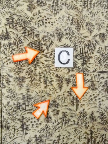 画像16: N0529F  女性用 羽織  シルク(正絹)  淡い 灰色, 風景 【中古】 【USED】 【リサイクル】 ★★☆☆☆ (16)