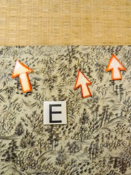 画像18: N0529F  女性用 羽織  シルク(正絹)  淡い 灰色, 風景 【中古】 【USED】 【リサイクル】 ★★☆☆☆ (18)