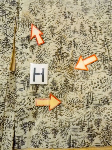 画像21: N0529F  女性用 羽織  シルク(正絹)  淡い 灰色, 風景 【中古】 【USED】 【リサイクル】 ★★☆☆☆ (21)