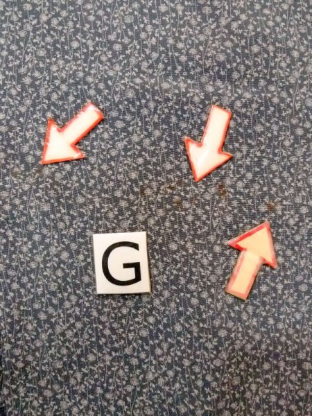 画像20: N0529I  女性用 羽織  シルク(正絹)   灰色, 花 【中古】 【USED】 【リサイクル】 ★★☆☆☆ (20)