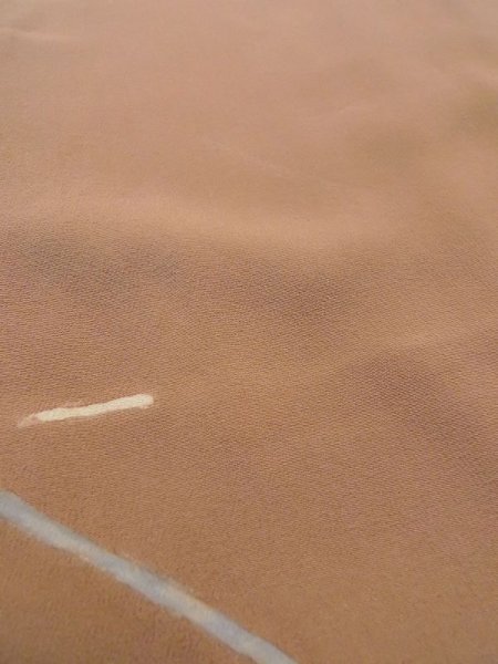 画像10: N0529L  女性用 羽織  シルク(正絹)   ベージュ, 花 【中古】 【USED】 【リサイクル】 ★★☆☆☆ (10)