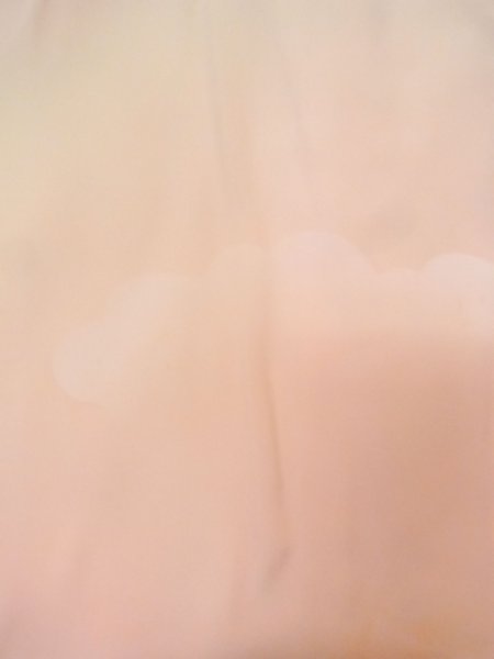 画像5: N0611J  女性用 襦袢  シルク(正絹)  薄い 桃色, ぼかし 【中古】 【USED】 【リサイクル】 ★★☆☆☆ (5)