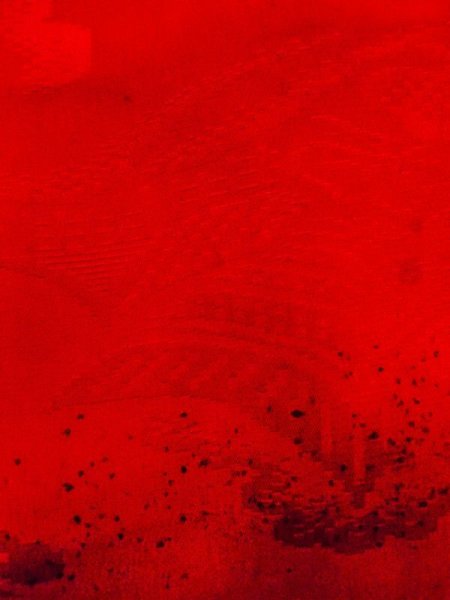 画像7: N0629B  女性用 女の子 子供用、半衿付き シルク(正絹)   赤色, 松/松葉 【中古】 【USED】 【リサイクル】 ★★☆☆☆ (7)