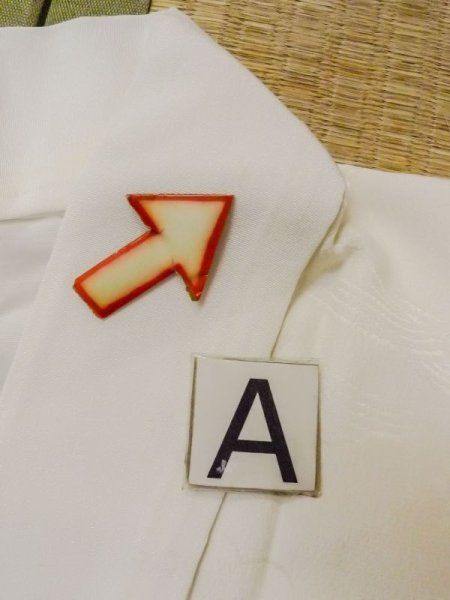 画像14: N0629K  女性用 襦袢 地紋:青海波、源氏雲、さやもん、菱、かのこ シルク(正絹)   オフ ホワイト,  【中古】 【USED】 【リサイクル】 ★★★☆☆ (14)