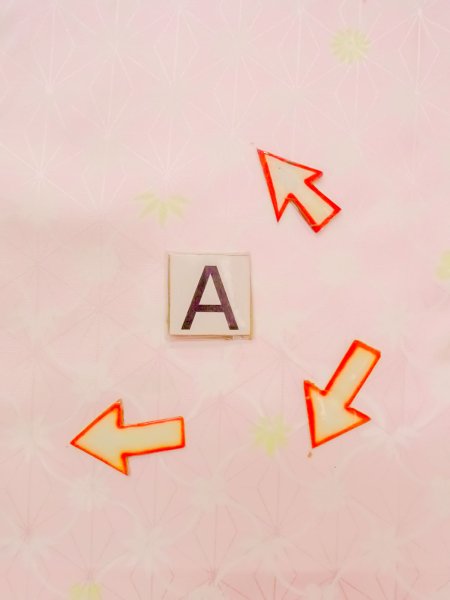 画像14: N0629N  女性用 襦袢  化繊  淡い 桃色, 花 【中古】 【USED】 【リサイクル】 ★★☆☆☆ (14)